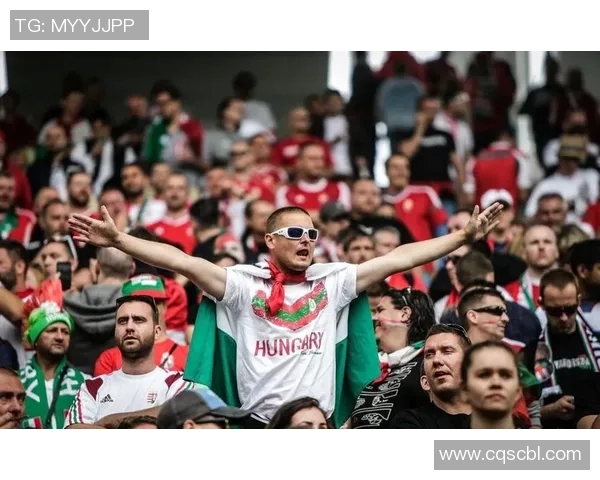 威尔士与匈牙利精彩对决集锦回顾赛场瞬间尽显足球魅力与激情 威尔士与匈牙利精彩对决集锦回顾赛场瞬间尽显足球魅力与激情