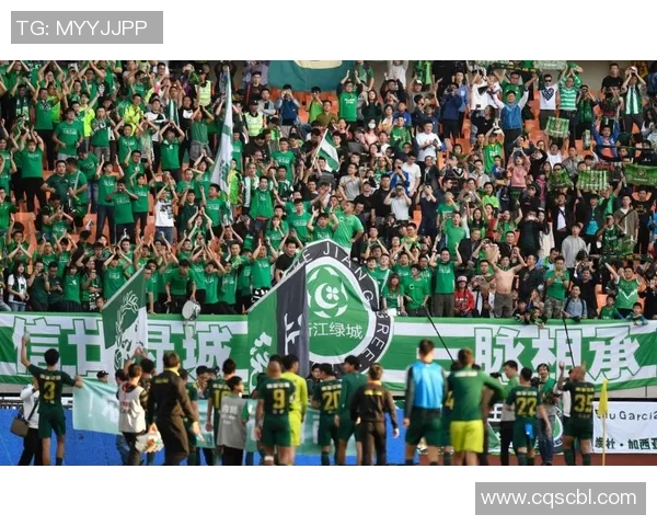 成都羽毛球队进攻革新之路探索与实践分析MBA