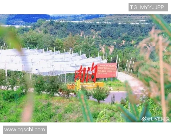 南京攀岩队的奋斗历程与成长故事全景纪实