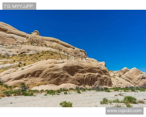 圣安德烈与庞特普的精彩对决揭示足球战术与团队精神的较量