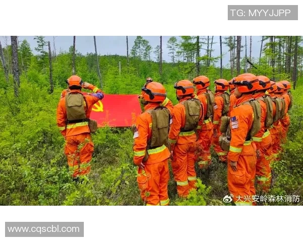 张帆：在风雨中勇往直前的奋斗者与梦想追逐者的故事