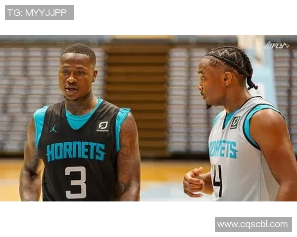 特里罗齐尔：从替补到明星球员的蜕变之路与未来展望