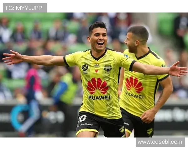 菲律宾与越南足球对决结果揭晓精彩瞬间回顾与分析