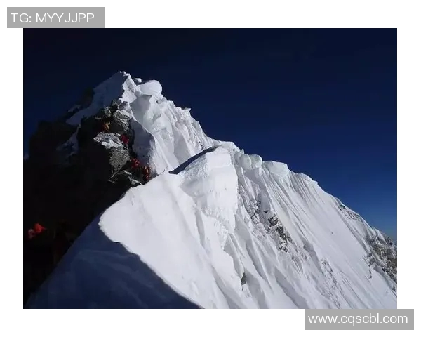 从零开始打造高效攀岩团队协作策略与实用技巧全解析