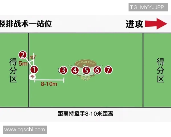 南京飞盘队阵地战分析：胜负背后的战术与团队协作探讨