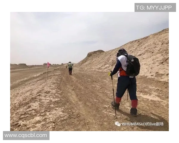 成都篮球队转型之路的真实记录与成长故事MBA 成都篮球队转型之路的真实记录与成长故事MBA